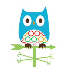 illustration owl on a weather vane