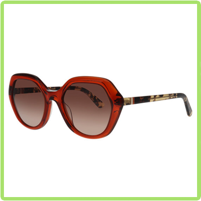 blue and brown tortoise shell frames